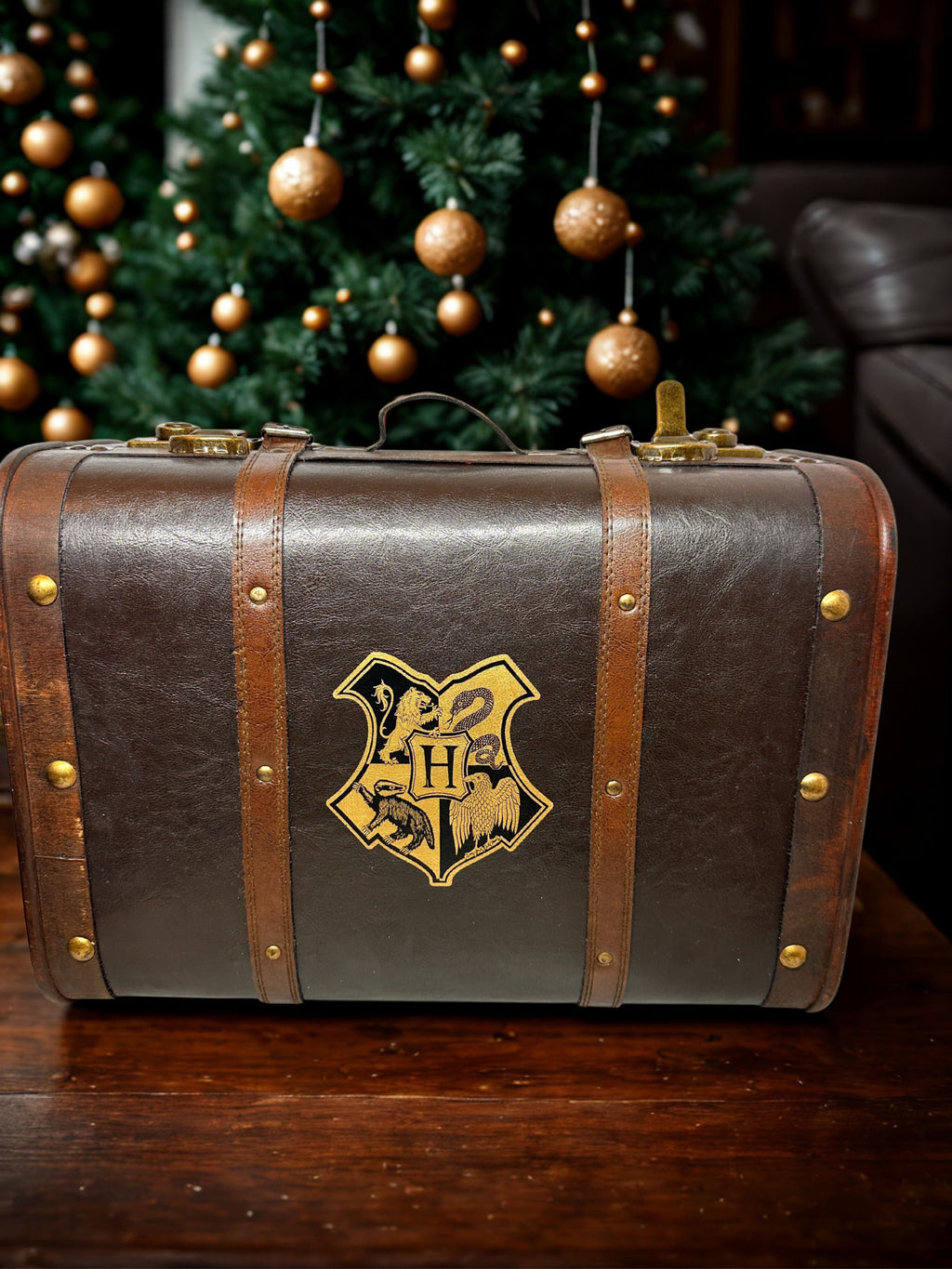 A Magical Gift for Harry Potter fans
